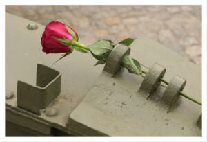 2025-05-03-berlin-gmv 20